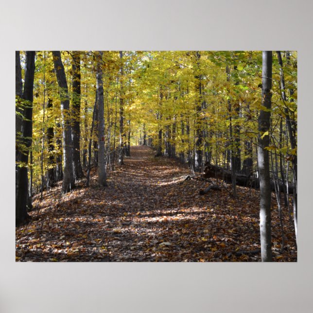 AUTUMN TRAIL. POSTER (Vorne)