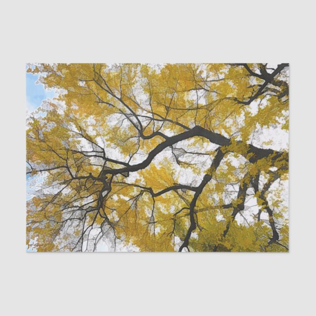 Autumn Tree Yellow Blätter Blue Sky Seidenpapier (Vorderseite)