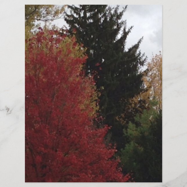 Autumn Trees in Red Yellow Green Scrapbook Paper (Vorderseite)