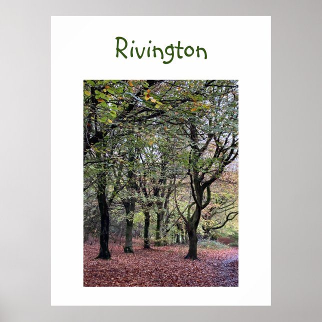 Autumn Trees Rivington Poster (Vorne)