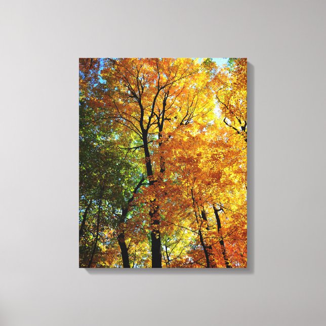 Autumn Trees Stretched Canvas Print Leinwanddruck (Vorderseite)