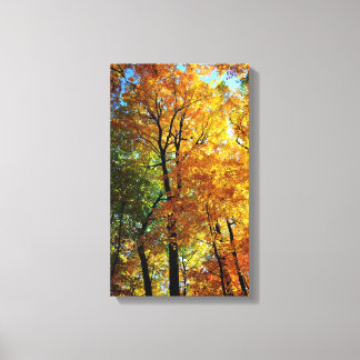 Autumn Trees Stretched Canvas Print Leinwanddruck