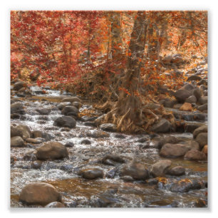 AUTUMN WALDFLUSS SEDONA ARIZONA FOTODRUCK
