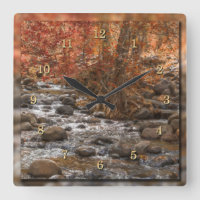AUTUMN WALDFLUSS SEDONA ARIZONA