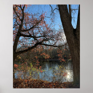 Autumn Waterscape Foto Poster