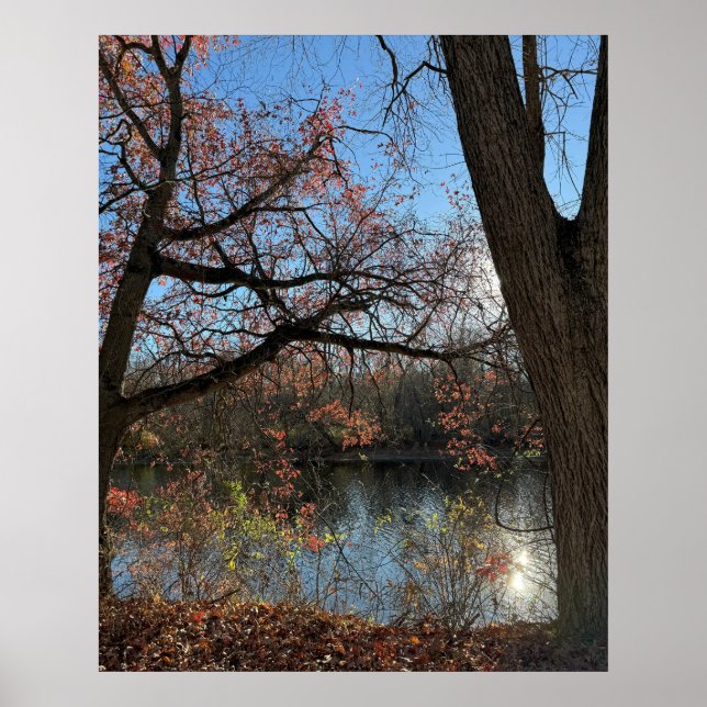 Autumn Waterscape Foto Poster (Vorne)