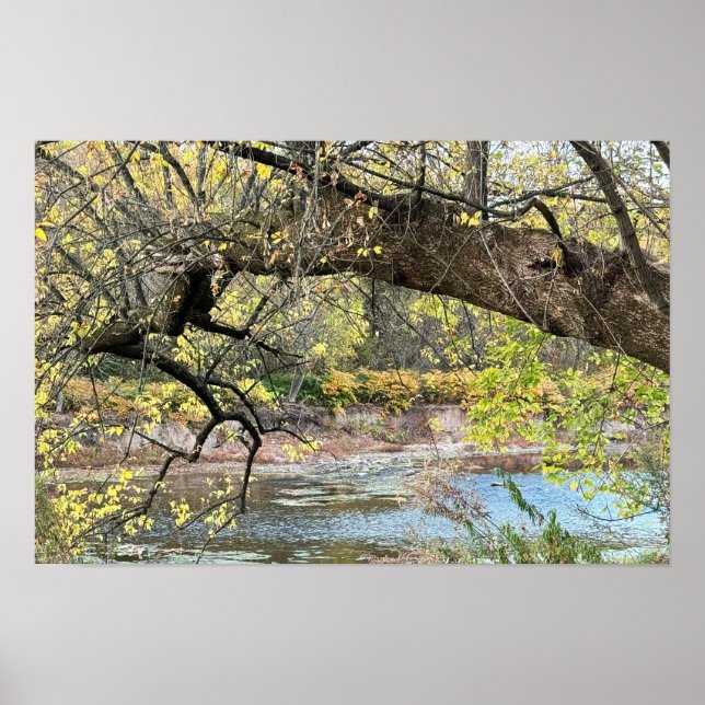 Autumn Waterscape Poster (Vorne)