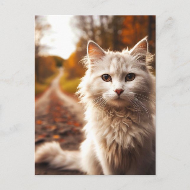 AUTUMN white cat POSTCARDS Postkarte (Vorderseite)