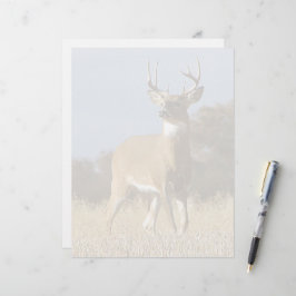 Autumn Whitetail Buck