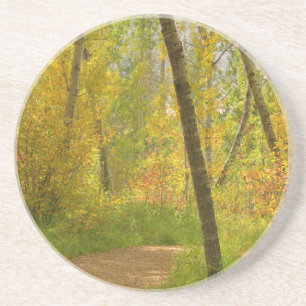 Autumn Woodlands Sandstein Untersetzer