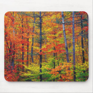 Autumn Woods Mouse Pad Mousepad