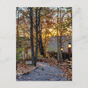 Autumn Woods Sunset Walkway Postcard Postkarte