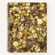 Autumn Yellow Leaves Collection