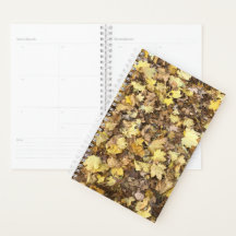 Autumn Yellow Leaves Collection