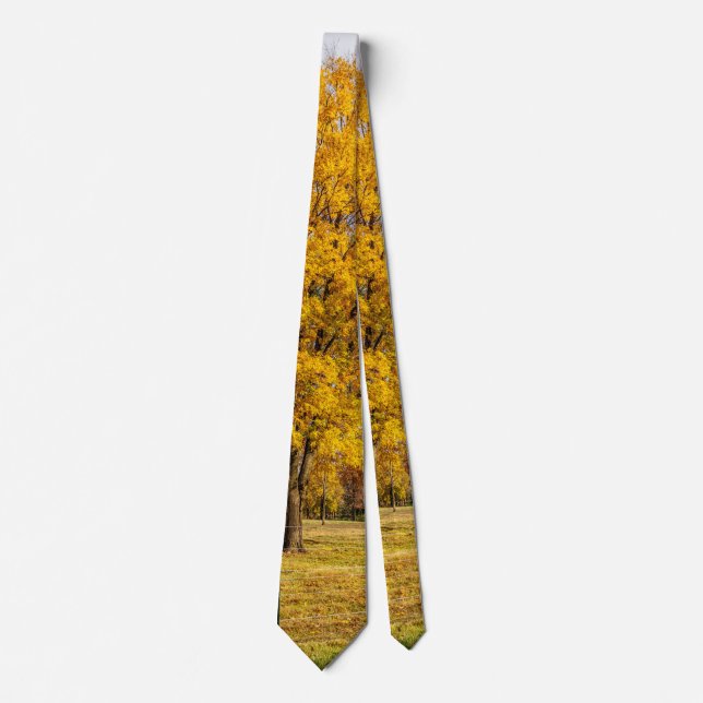 Autumn Yellow Sugar Maple Neck Tie Krawatte (Vorderseite)
