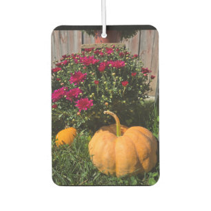 Autumnal Kürbis und Mehl Autolufterfrischer