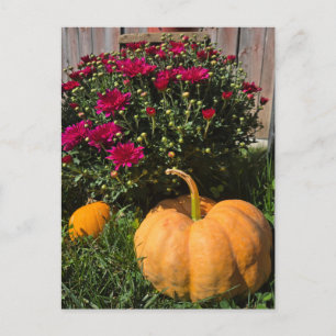 Autumnal Kürbis und Mehl Feiertagspostkarte