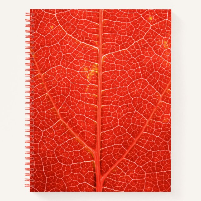 Autumnal Leaf Notizbuch (Vorderseite)