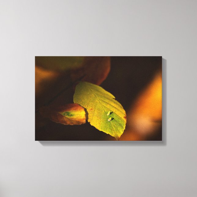 Autumnal Leinwanddruck (Vorderseite)