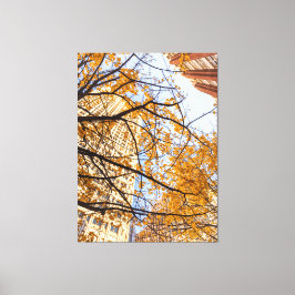 Autumnal Tree in der Stadt Leinwanddruck