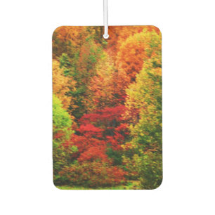 AUTUMNS GLORY AUTOLUFTERFRISCHER