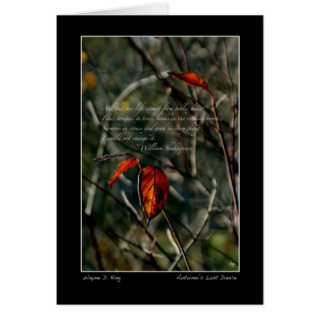 Autumns Last Dance mit Shakespeare (Vorne)