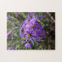 Autumn's Purple Glow