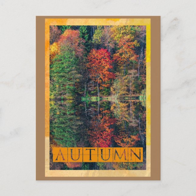 Autumns Reflektion Postkarte (Vorderseite)
