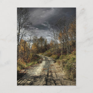 Autumns Road Postkarte