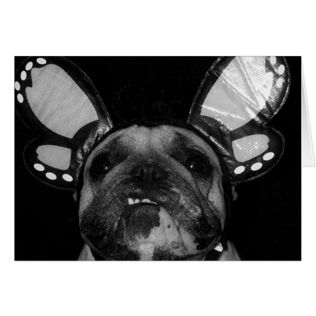 Ava Butterfly Cards (Vorderseite (Horizontal))