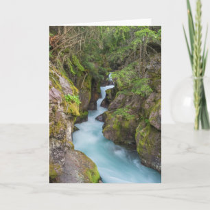 Avalanche Creek, Glacier National Park, Montana Karte