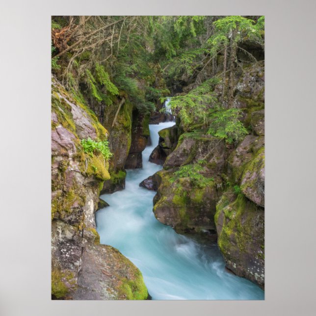 Avalanche Creek, Glacier National Park, Montana Poster (Vorne)