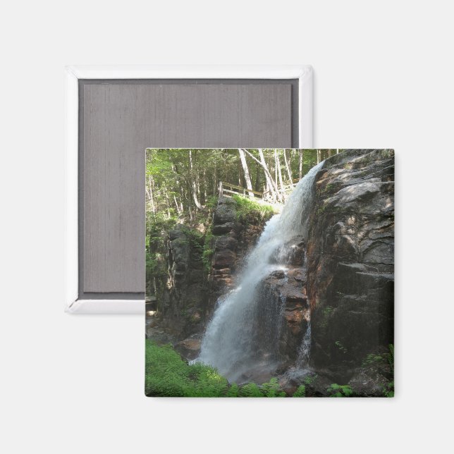 Avalanche Falls Magnet (Vorderseite/Rückseite)