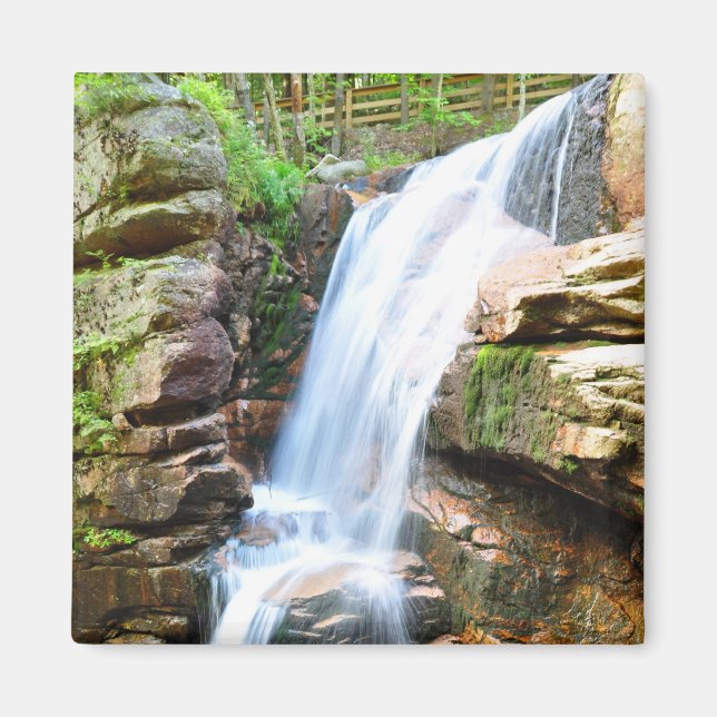 Avalanche Falls Wasserfall New Hampshire Magnet (Vorne)