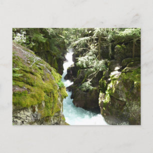 Avalanche Gorge II im Glacier-Nationalpark Postkarte