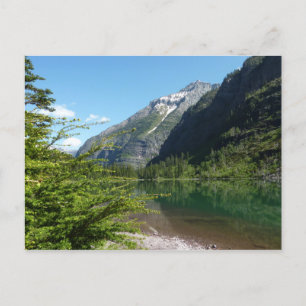 Avalanche Lake II im Glacier-Nationalpark Postkarte
