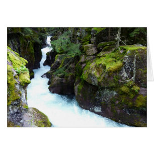 Avalanche-Schlucht I im Glacier-Nationalpark