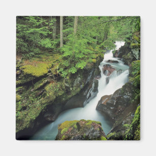 Avalanche-Schlucht im Glacier-Nationalpark in Magnet
