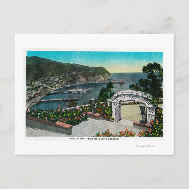 Avalon Bay von den Wrigley's Gardens Postkarte (Vorderseite)