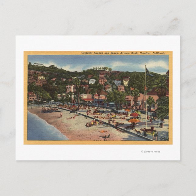 Avalon Blick auf die Crescent Ave. & Strand Postkarte (Vorderseite)