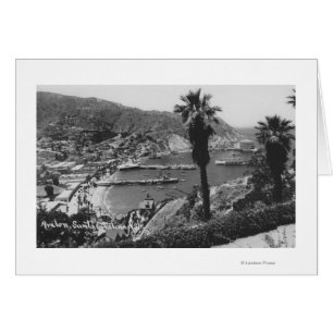 Avalon, CA Santa Catalina Island Aussicht auf Hafe