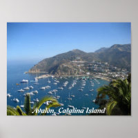 Avalon, Katalina