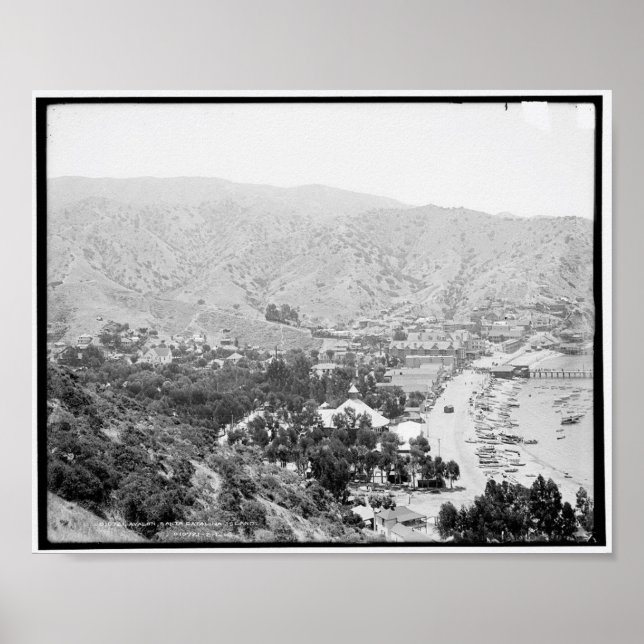 Avalon, Santa Catalina Island c1903 Poster (Vorne)