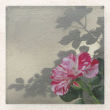 Avantgarde-Rose und Schatten