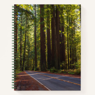 Avenue of Giant Redwood California Notizbuch