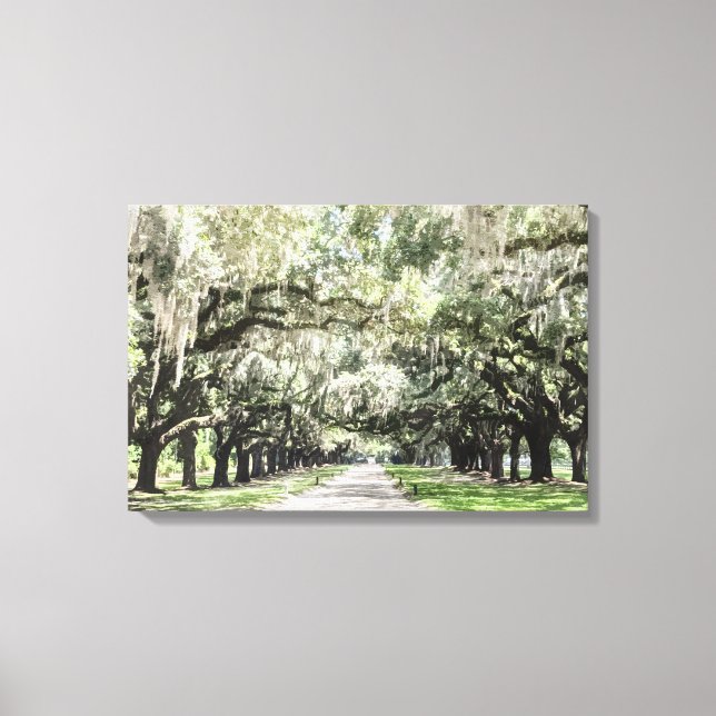 Avenue of Oaks, Boone Hall Plantation Wasserfarbe Leinwanddruck (Vorderseite)