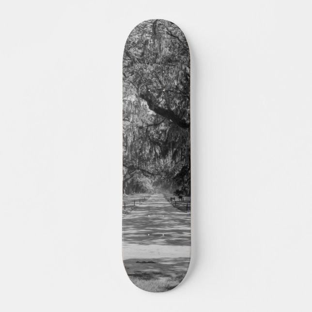 Avenue of Oaks Graustufen Skateboard (Vorne)
