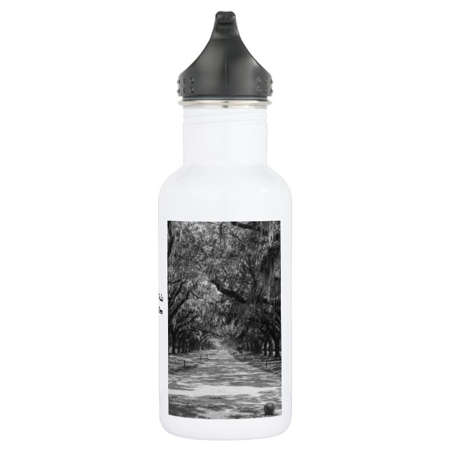 Avenue of Oaks Graustufen Water Flasche Edelstahlflasche (Rechts)