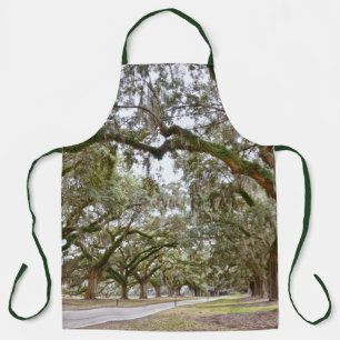 Avenue of Oaks, South Carolina Schürze