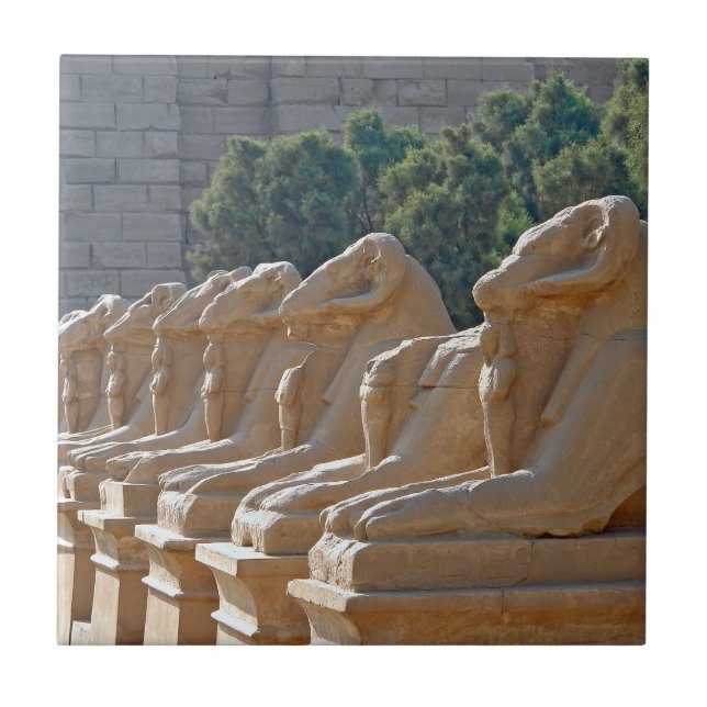 Avenue of Sphinxes in Karnak Temple - Ägypten Fliese (Vorderseite)